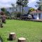 Jasa Menanam Rumput Gajah Mini Dan Rumput Jepang Untuk Taman